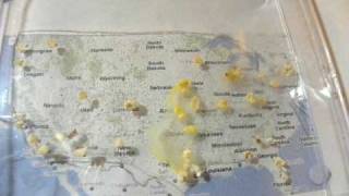 Physarum approximates road networks in USA [upl. by Mclaughlin17]