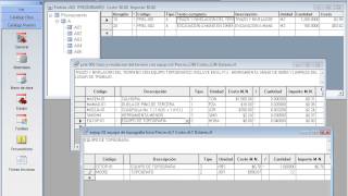 05 Costos horarios neodata 2008 [upl. by Dnalyr]