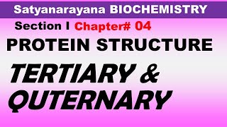 Chp4 Part5 Satyanarayana Biochemistry  TERTIARY amp QUATERNARY Structure of PROTEINS [upl. by Hahnke26]