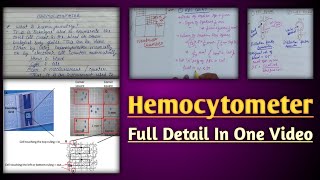 Hemocytometer  hemocytometer rbc count  calculation in neubaur chamber [upl. by Eniledam609]