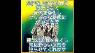 【絶大な金運を獲得する魔力グリモワール魔導書の手引き】開運アクセサリー 恋愛運アップ良縁 大開運 浄化 強力なパワー 自由 裕福な暮らし 幸福 引き寄せ ネックレス 高額当選 [upl. by Liane100]