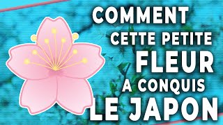 🌸 La Fleur de Cerisier SAKURA  un symbole du JAPON 🌸 [upl. by Cooperstein]