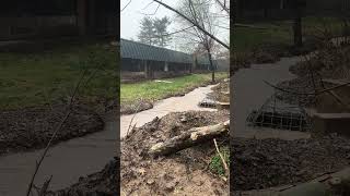 Flooding at Lambertville Public School March 23 2024 [upl. by Gilletta742]