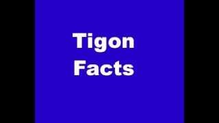 Tigon Facts  Facts About Tigons [upl. by Droflim274]