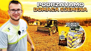 POČETAK SJETVE  KOLIKO OVE GODINE SIJEMO PŠENICE LOŠA ODLUKA [upl. by Rausch]