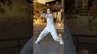 Tai Chi习练太极，调和气血，平衡阴阳，身康体健乐无疆 taichi kungfu taichiquan 功夫 太极 太极拳 taiji taijiquan 武术 [upl. by Browne]