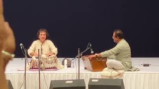 Zakir Hussain at Abbaji Gurupurnima 2024 [upl. by Louella65]