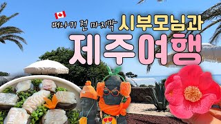 🇨🇦떠나기전 마지막 브이로그✨  시부모님과 함께 한 제주여행 제주맛집 성산 흑돈쭐 쌍둥이횟집 동문야시장 수국축제 아쿠아플라넷🌺 [upl. by Acquah39]