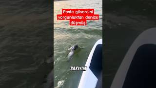 Yolunu şaşıran posta güvercini yorgunluktan denize düştü dublaj [upl. by Julina]