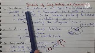 Nitrogenase Protection in Nitrogen fixing Bacteria and Cyanobacteria [upl. by Erund]