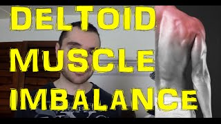 Muscle Imbalance Between Front Delt amp Rear Delt Explained [upl. by Avlis]