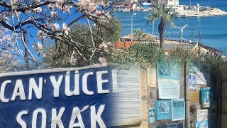 DATÇA BADEM ÇİÇEĞİ FESTİVALİ VLOG datça festival muğla [upl. by Barclay79]