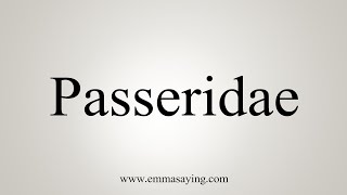 How To Say Passeridae [upl. by Oglesby218]