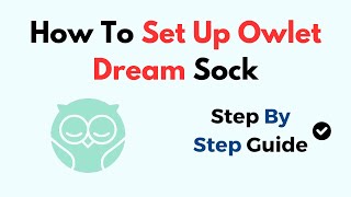 How To Set Up Owlet Dream Sock [upl. by Mal]