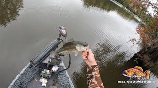 Bass Fishing Showdown Chasing Big Bites in the Swamp [upl. by Isaacs]