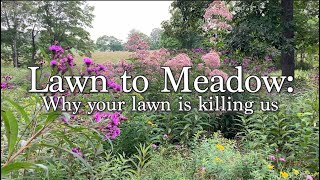 Lawn to Meadow Why your lawn is killing us  Short Documentary [upl. by Nagol]