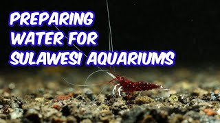 Preparing water for sulawesi aquariums [upl. by Rosemari496]