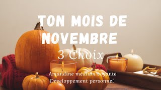 🍂Guidance de votre mois de Novembre ✨ [upl. by Kung]