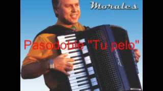 Pasodobles en acordeon Luis Morales [upl. by Aimas]