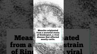 Facts about Measles trivia didyouknow disease healthcare [upl. by Oicinoid365]