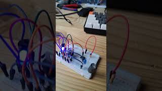 Attiny 85 on 24VDC blink on breadbord attiny85 [upl. by Sadira]