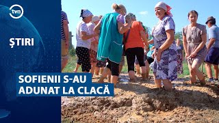 SOFIENII SAU ADUNAT LA CLACĂ [upl. by Singer]