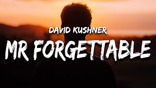 David Kushner  Mr Forgettable Lyrics quothello hello are you lonelyquot [upl. by Nuahsed]