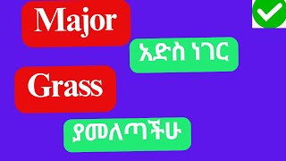 Major አድስ ነገር Grass ያመለጣችሁ [upl. by Porty538]