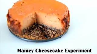 Mamey Cheesecake Dessert Recipe [upl. by Roxanne633]