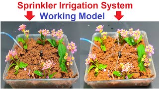 sprinkler irrigation system working model science project for exhibition  syringes  DIY pandit [upl. by Regine761]