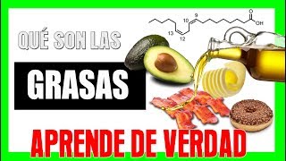 Clasificación de las GRASAS 🥑 y Cómo influyen en nuestro CUERPO [upl. by Searle]