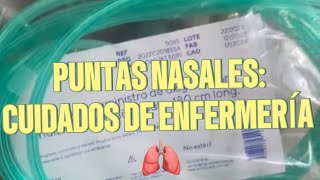 Puntas Nasales Cuidados de Enfermería [upl. by Raven]