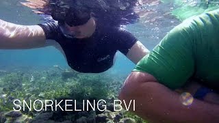 Snorkeling in BVI [upl. by Novart446]