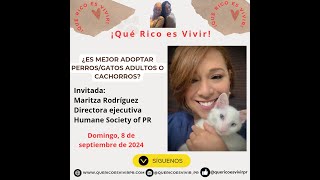 ¿Adoptar mascotas adultas o cachorros Humane Society of Puerto Rico [upl. by Aivekal]