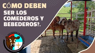 COMO DEBEN SER LOS COMEDEROS SALADEROS Y BEBEDEROS [upl. by Notnilk162]