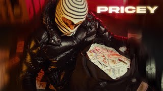 Kam Prada  Pricey Official Lyric Video [upl. by Rayham]