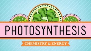 Photosynthesis Crash Course Biology 8 [upl. by Roter400]