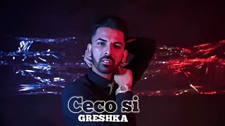 Ceco Si Greshka Грешка Official Video 2022 [upl. by Ellerehs]