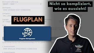 So erstellst Du einen Flugplan für einen VFRFlug ins Ausland  FLUGVORBEREITUNG [upl. by Malloch647]