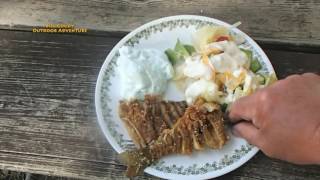 Catching and Cooking Bluegill  Bream At Meramac Campground [upl. by Nilya]