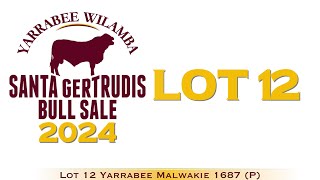 Lot 12 Yarrabee Malwakie 1687 P [upl. by Chernow]