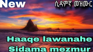 Sidama protestant song [upl. by Mendes]