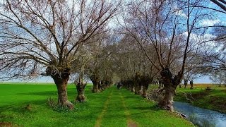 This is why you should HIKE in Ammiq Lebanon By ProMax [upl. by Eirrot]