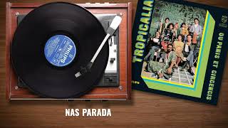 Nara Leão  Lindonéia Tropicália Ou Panis Et Circense Lyric Video [upl. by Nnylirret]