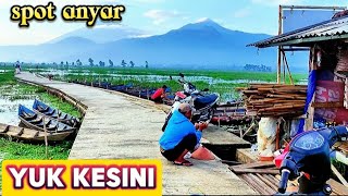 mancing mujair spot baru bejalen [upl. by Irish]