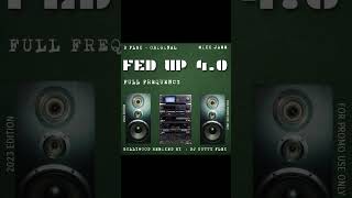 SANAM O SANAM DANCEHALL MIXX  FED UP 40 FULL FREQUENCY [upl. by Aniez749]