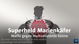 gutzuwissen Superheld Marienkäfer [upl. by Devon478]