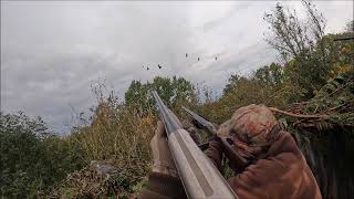 Chasse du pigeon au mirador [upl. by Lezirg207]