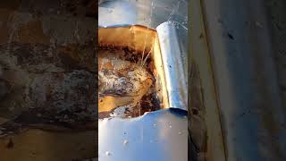 Solar water heater Inner tank leckage problem 🤮 Solution [upl. by Drarreg]