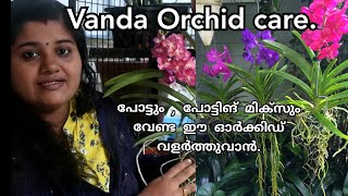 Vanda Orchid Care and Propagation  വാൻഡ ഓർക്കിഡ് പരിപാലനം  Malayalam Orchid care [upl. by Mayworm]